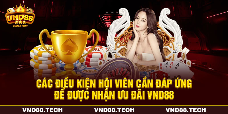 Các điều kiện hội viên cần đáp ứng để được nhận ưu đãi VND88 Các điều kiện hội viên cần đáp ứng để được nhận ưu đãi VND88