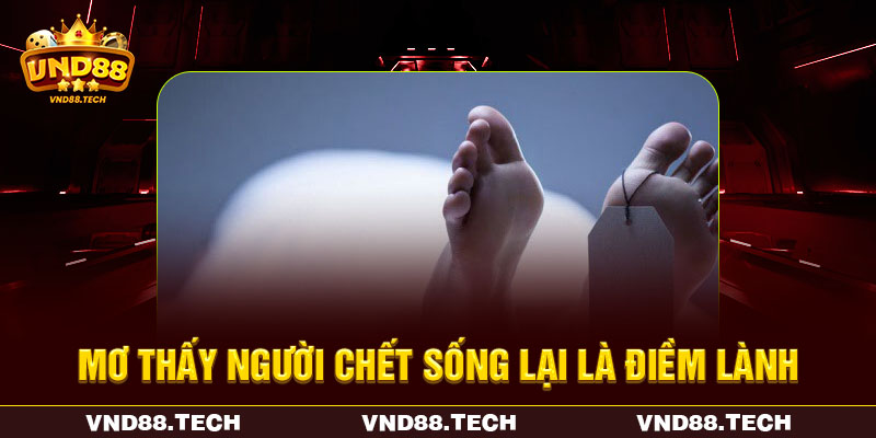 Mơ thấy người chết sống lại dự báo tốt đẹp Mơ thấy người chết sống lại dự báo tốt đẹp