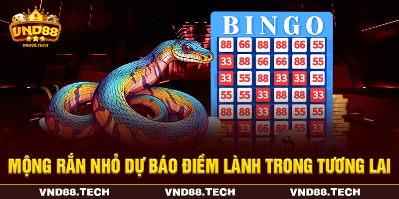 Mộng rắn nhỏ dự báo điềm lành trong tương lai Mộng rắn nhỏ dự báo điềm lành trong tương lai