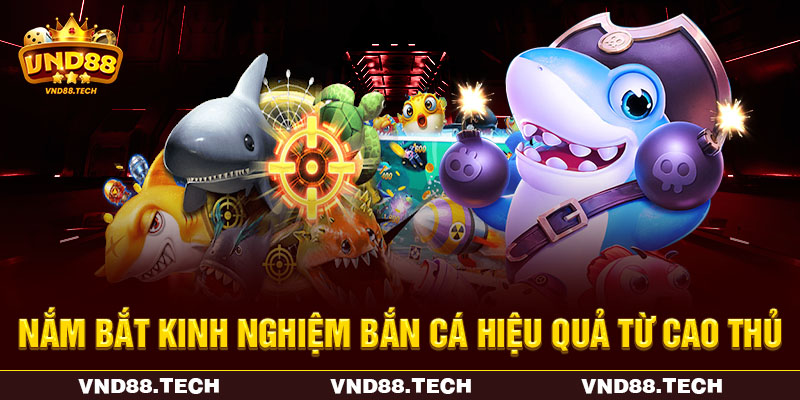 Nắm bắt kinh nghiệm bắn cá hiệu quả từ cao thủ Nắm bắt kinh nghiệm bắn cá hiệu quả từ cao thủ