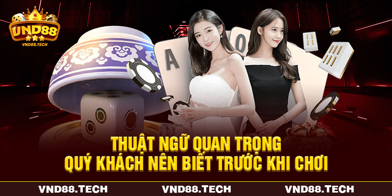 Thuật ngữ quan trọng quý khách nên biết trước khi chơi Thuật ngữ quan trọng quý khách nên biết trước khi chơi