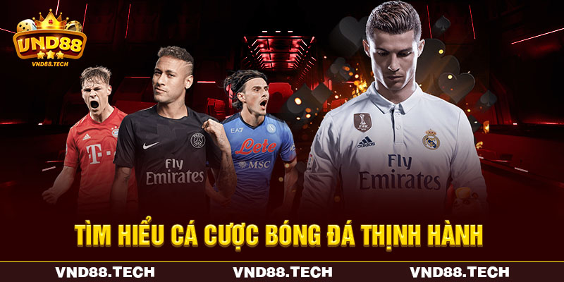 Tìm hiểu cá cược bóng đá thịnh hành Tìm hiểu cá cược bóng đá thịnh hành