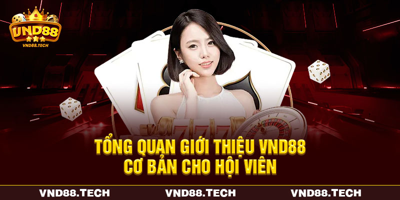 Tổng quan giới thiệu VND88 cơ bản cho hội viên Tổng quan giới thiệu VND88 cơ bản cho hội viên